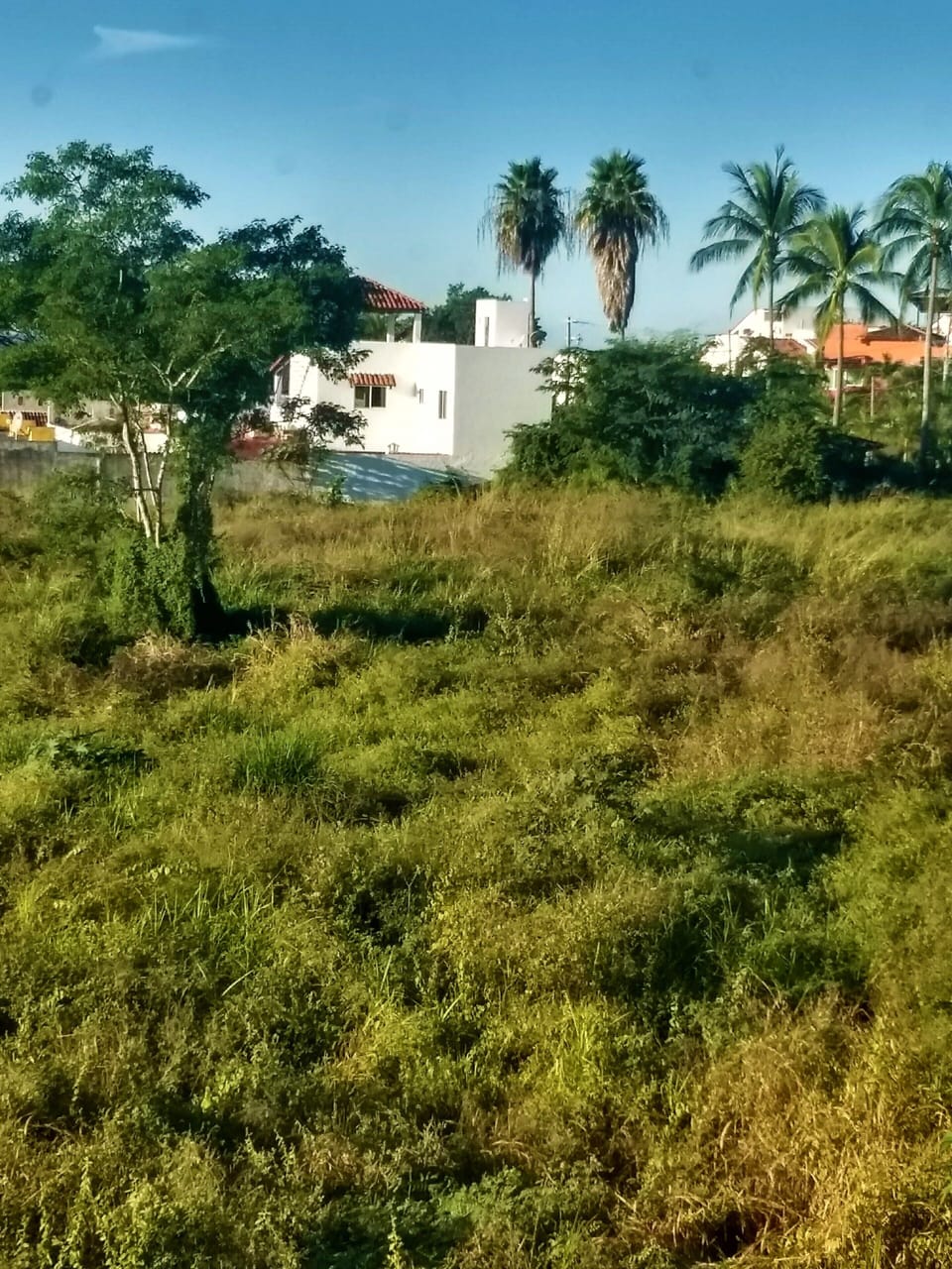 Photo also taken from living room window (with zoom).