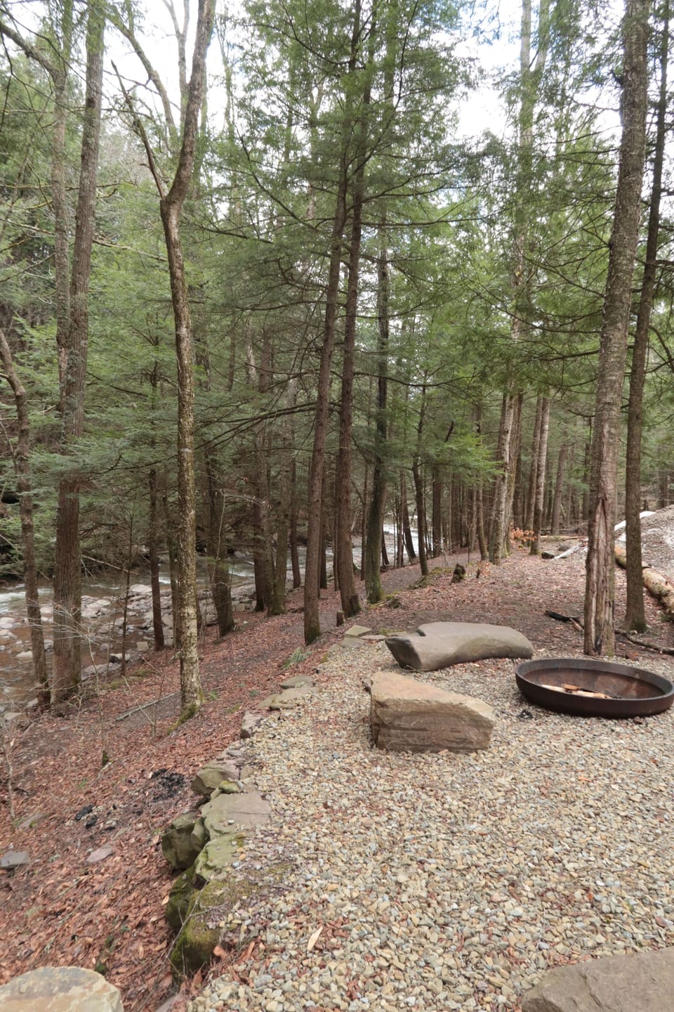 Fire pit area looking downstream.