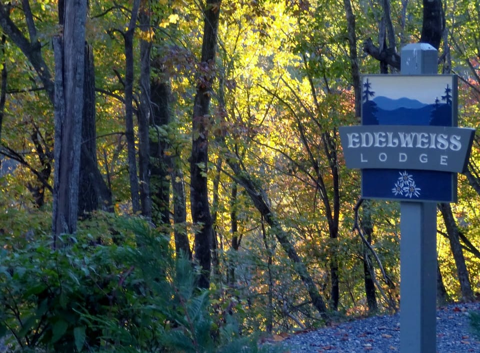 Edelweiss Lodge - Your Serene Destination