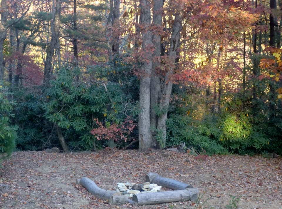 Bring some marshmallows and let the fire do the roasting outdoors