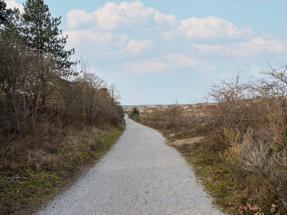 Surroundings [summer] (1-5 km)