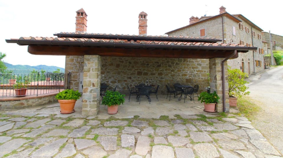 Plant, Sky, Flowerpot, Houseplant, Brick, Brickwork, Building, Grass, Rural Area, Cottage