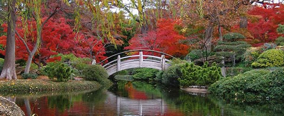 we are 20 mins away from Fort Worth Botanic Garden