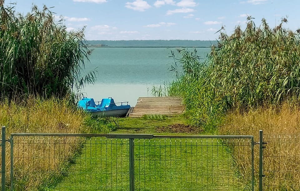 view-from-room