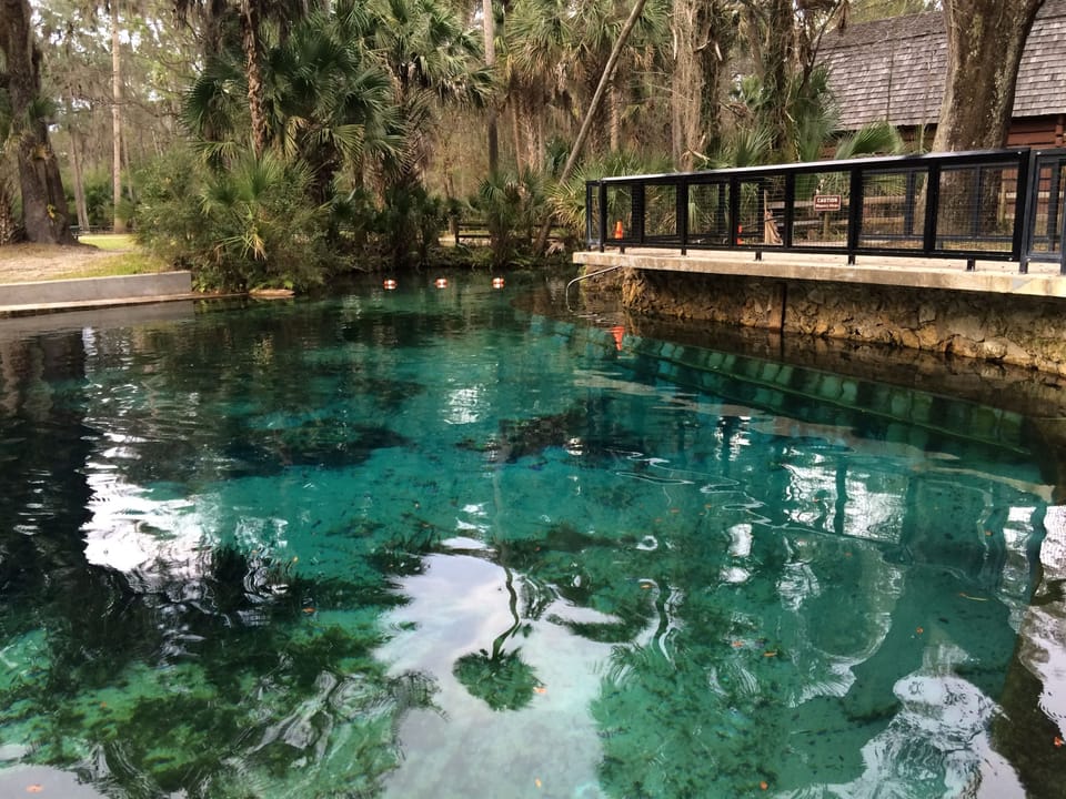 Juniper Springs