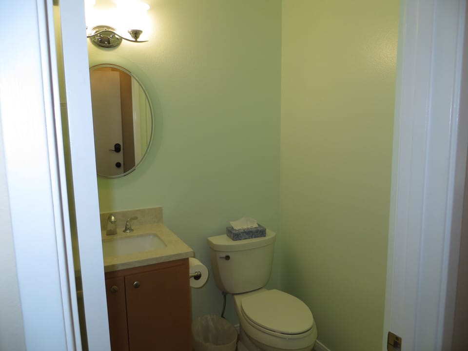 Down Stairs Bathroom