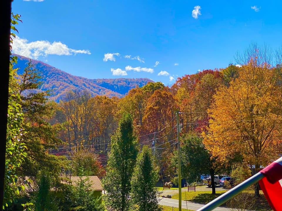 View from main deck Fall 2020