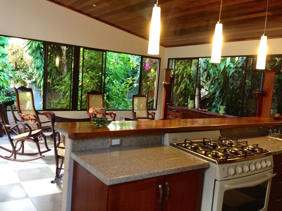 Kitchen and Bar area