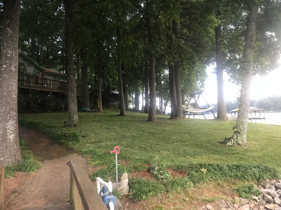 Front yard