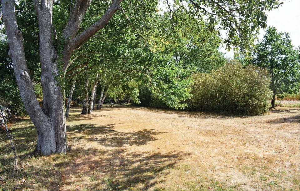 area