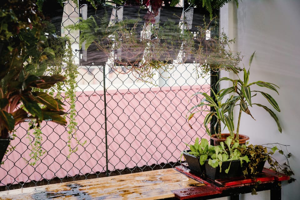 Roof-top garden at the 4/F