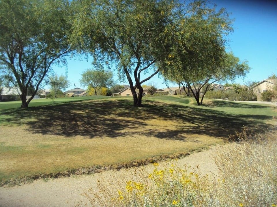 Scenic Golf Course View