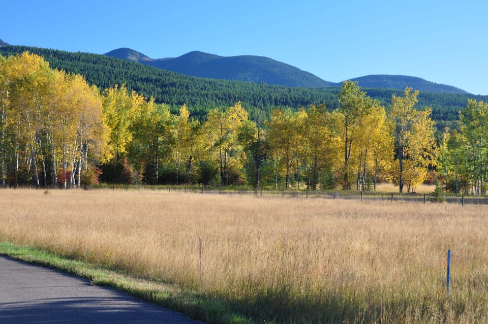 Wildlife reserve with view to ski mountain behind house. Beware of bears!