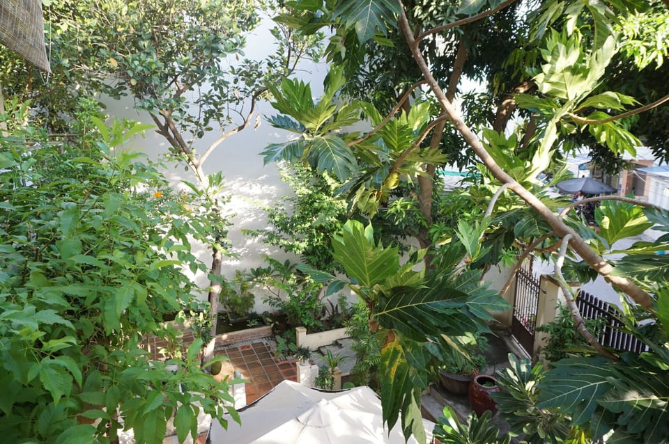 view from first bedroom window look down to main gate