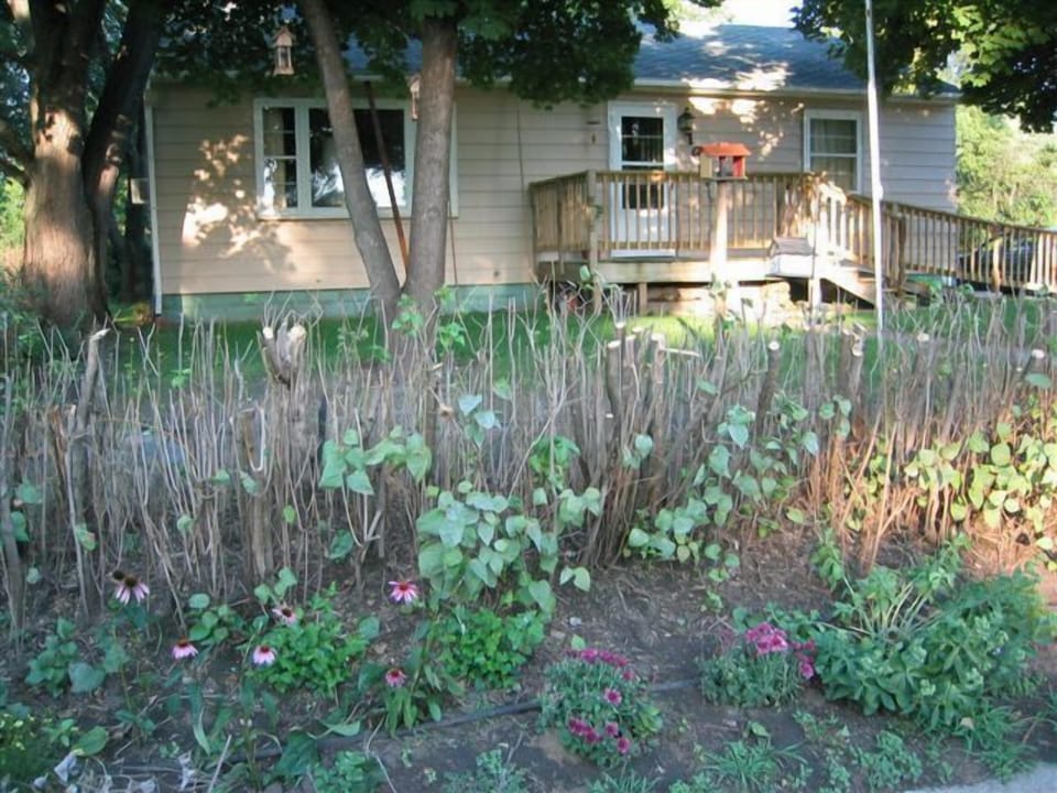 View from the street  early spring before the Lilac's leaf and bloom  