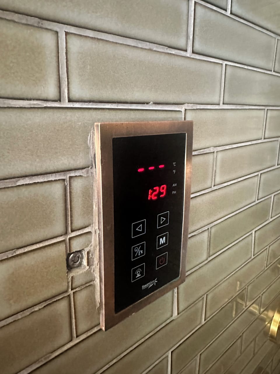Master shower and steam room