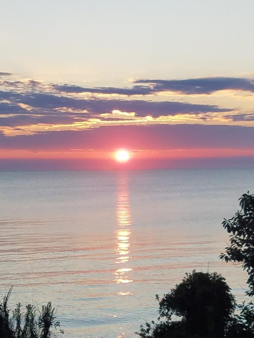 Nature’s Art