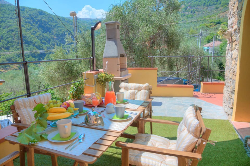 Balcony / Terrace / Patio