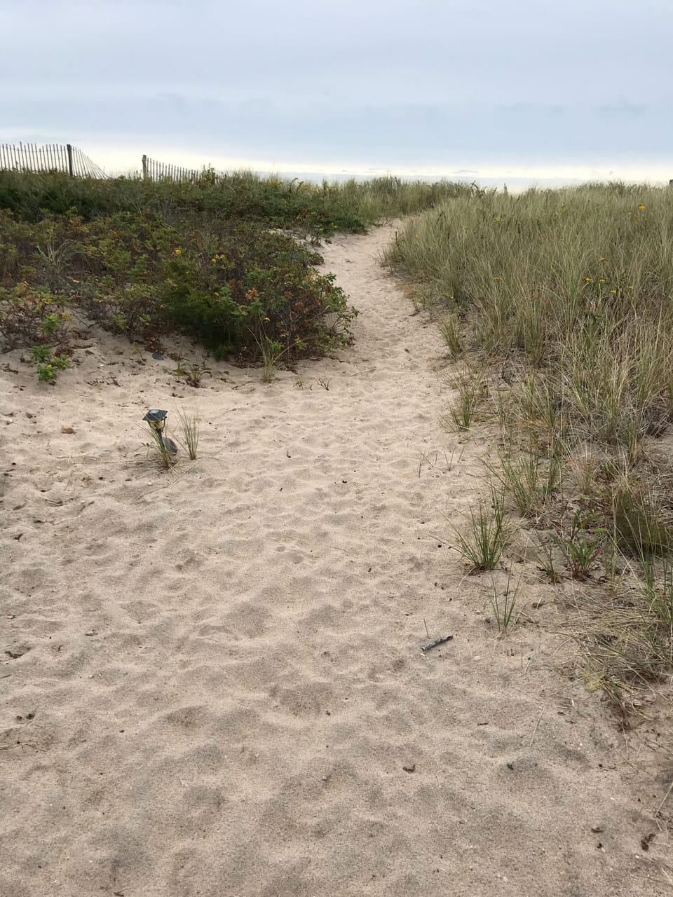 Our path to our beach, just over the dune and you are there.