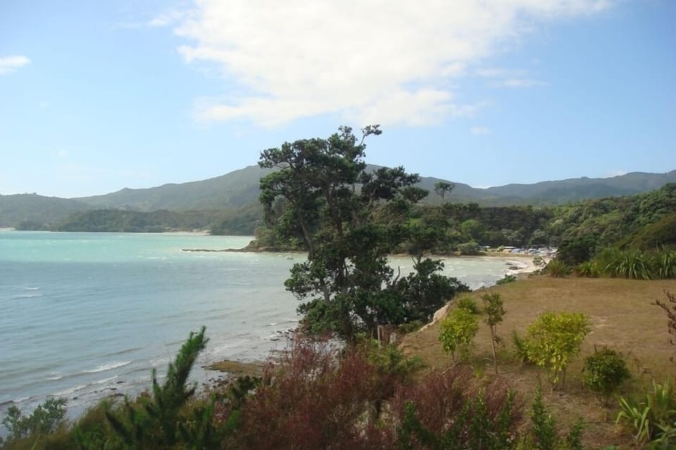 View out towards Long Bay