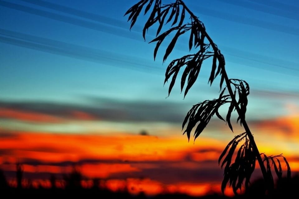 Beautiful Kakanui Sunrises