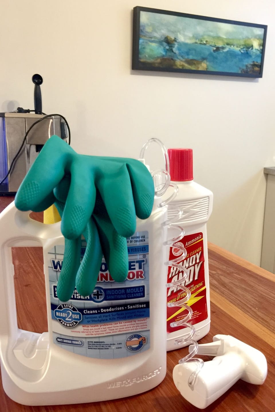 Some of the cleaning products used between guests