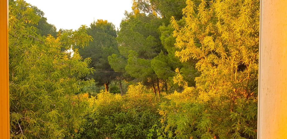 View from property
