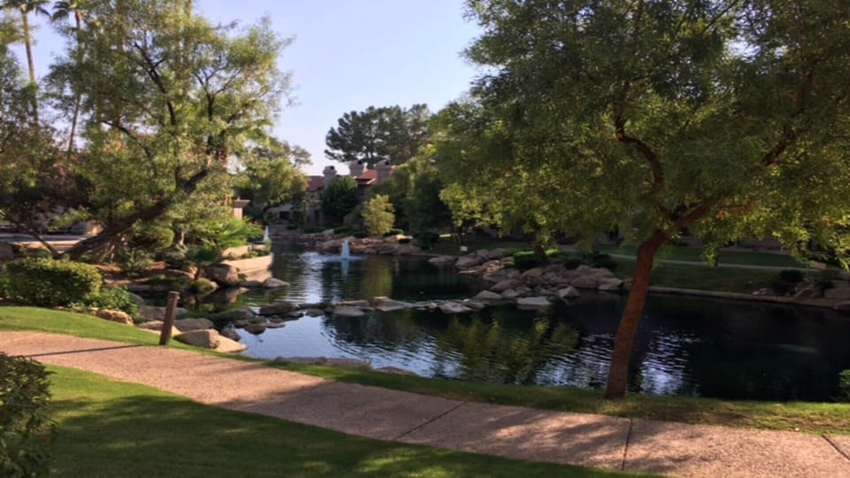 Spectacular view from the patio 