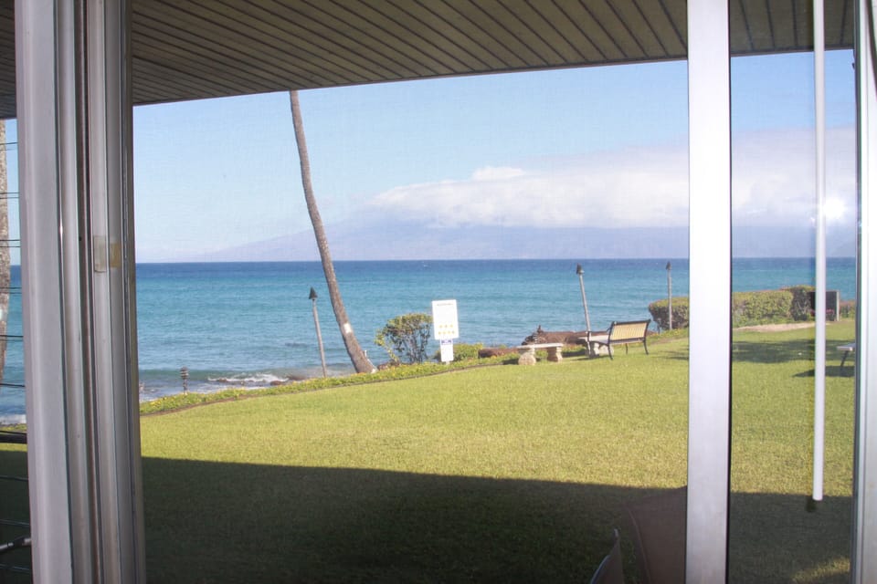 View from dining room