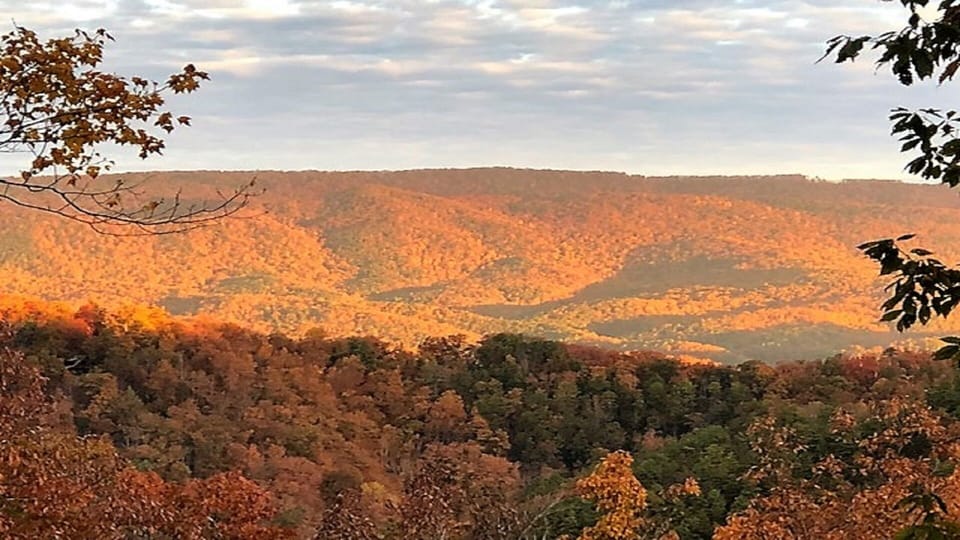 Fall Foliage/View off back deck