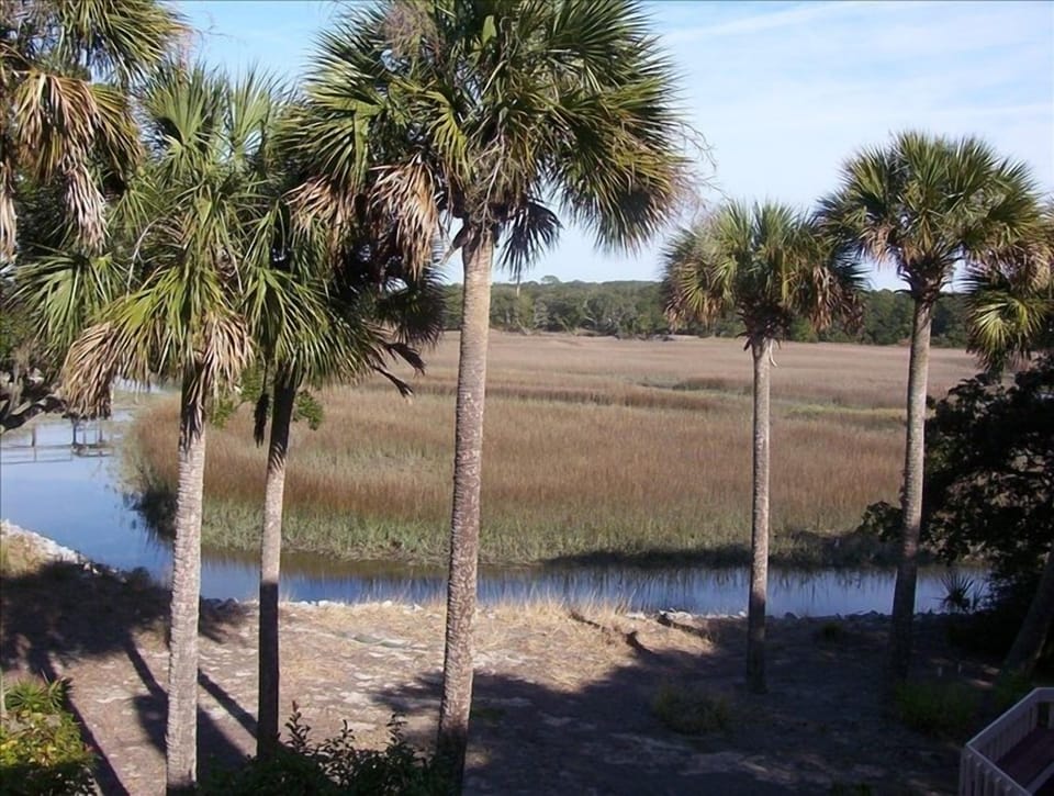 Wake up to beautiful sunrise and marsh views 