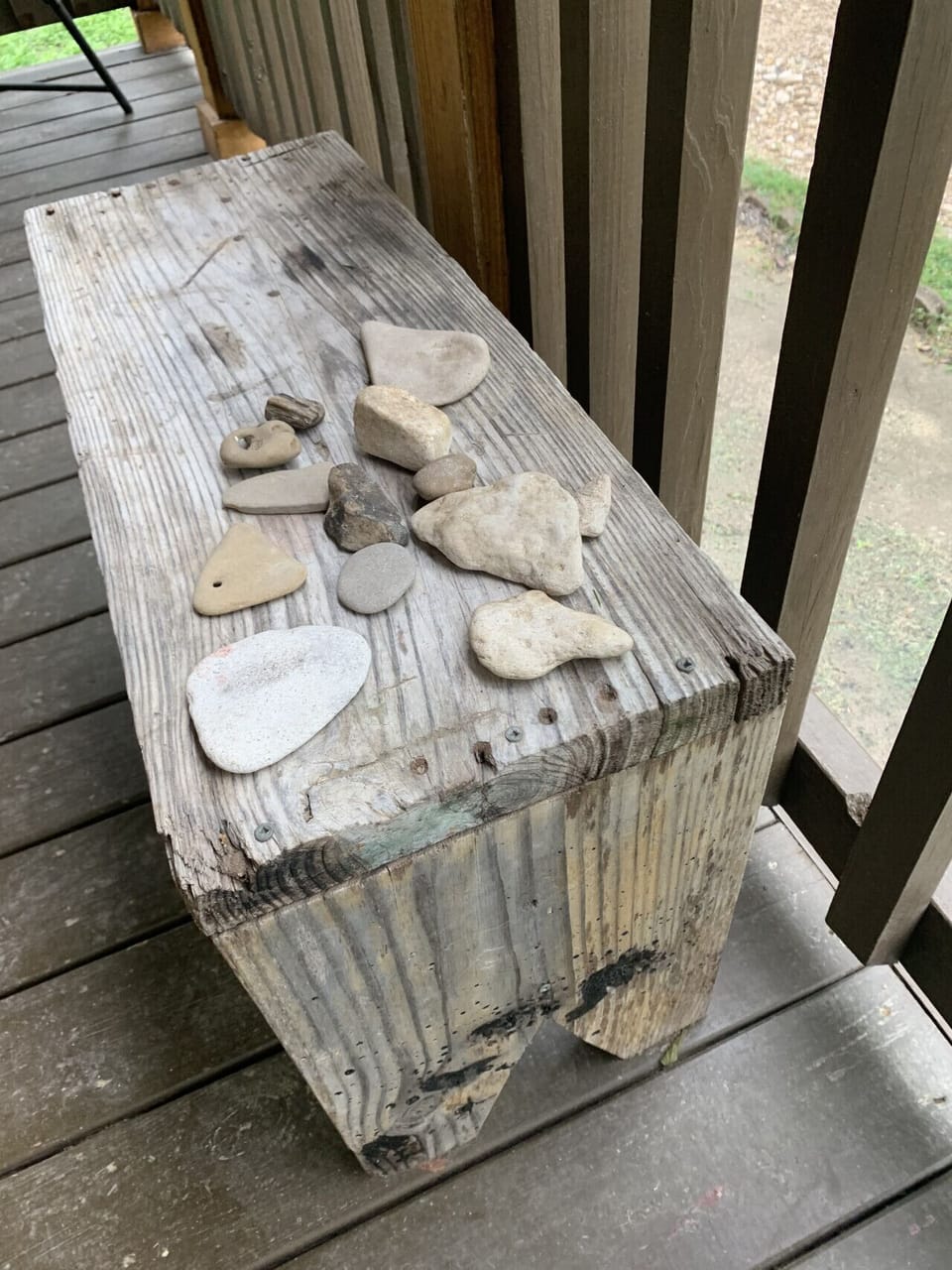 Fossils from beach area