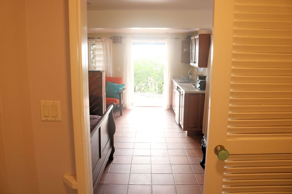 Looking from the towards the entry to the apartment.
