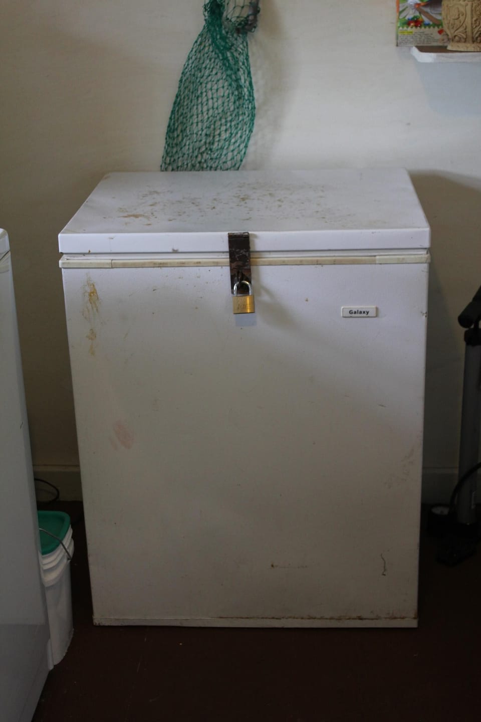 extra freezer for your catch