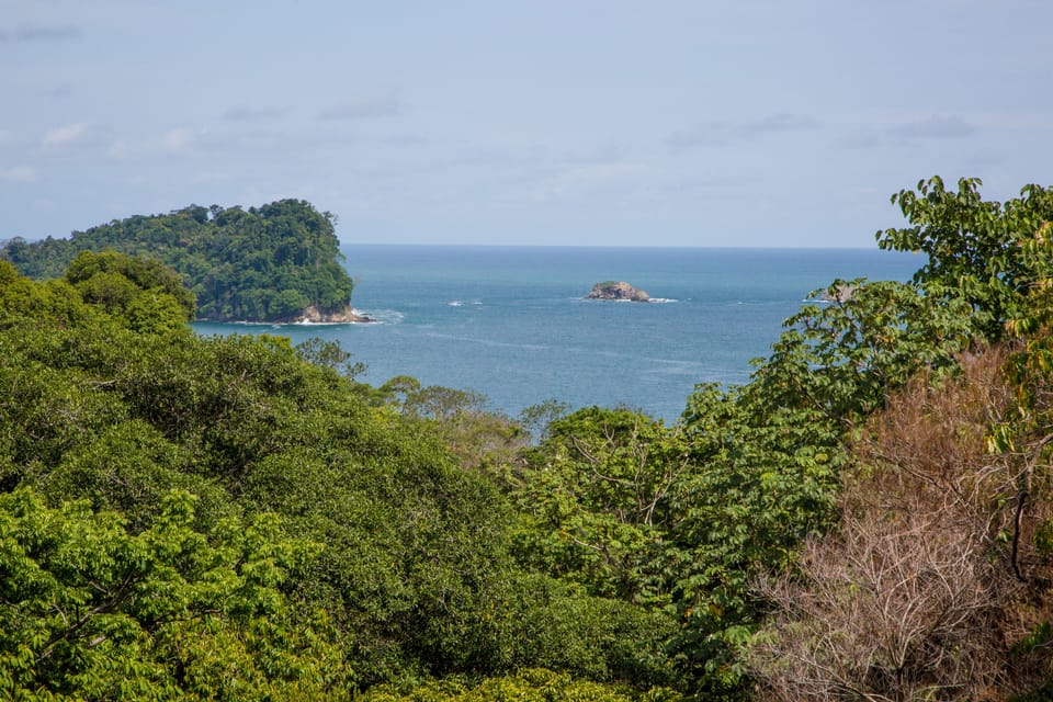 View from the swimming pool
