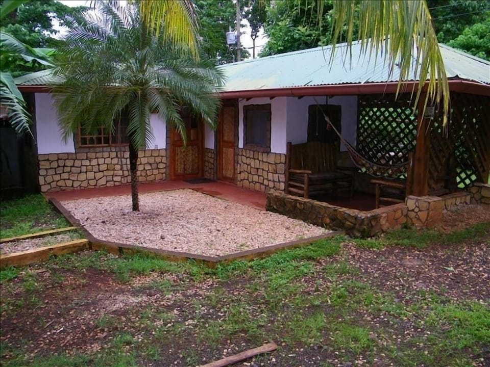 tropical coconut and fruits trees, surround this blue lagoon house.