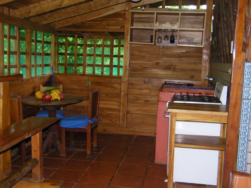 Fullyequipped kitchen, large fridge, oven, blender crock pot.