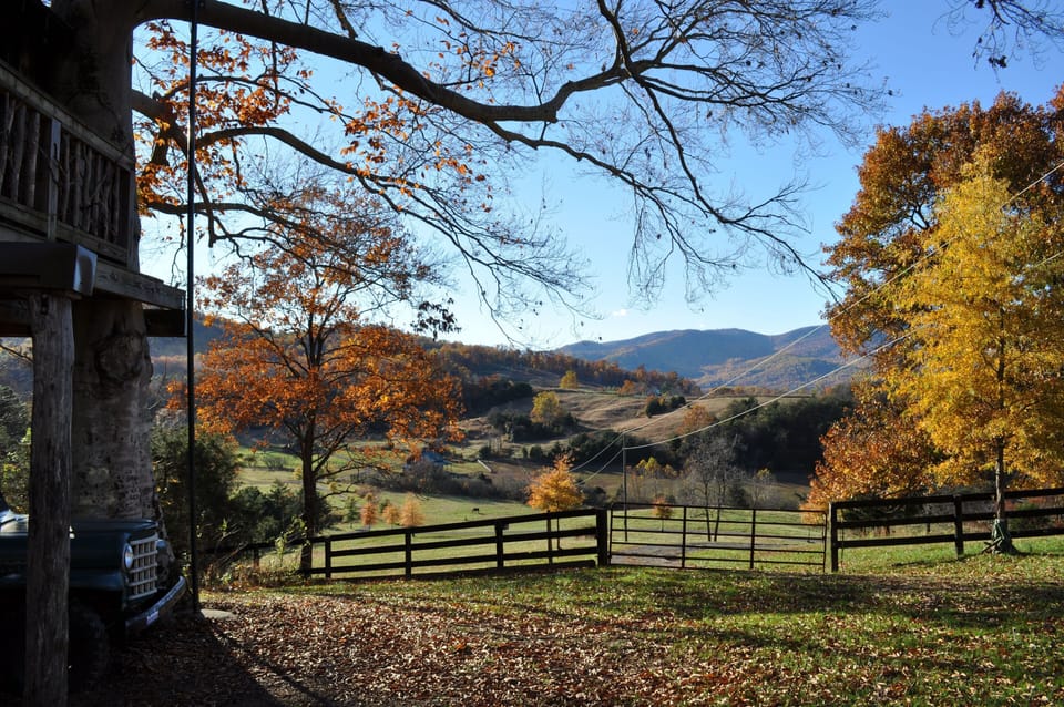 View from the treehouse front yard
