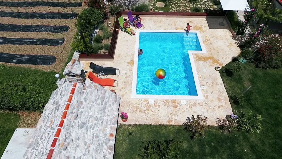 House of Green experience