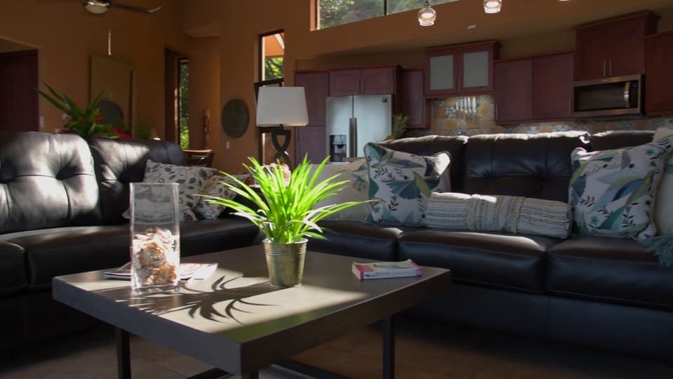 Comfy sofas in living room.