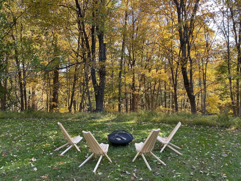 Fire pit by the woods.
