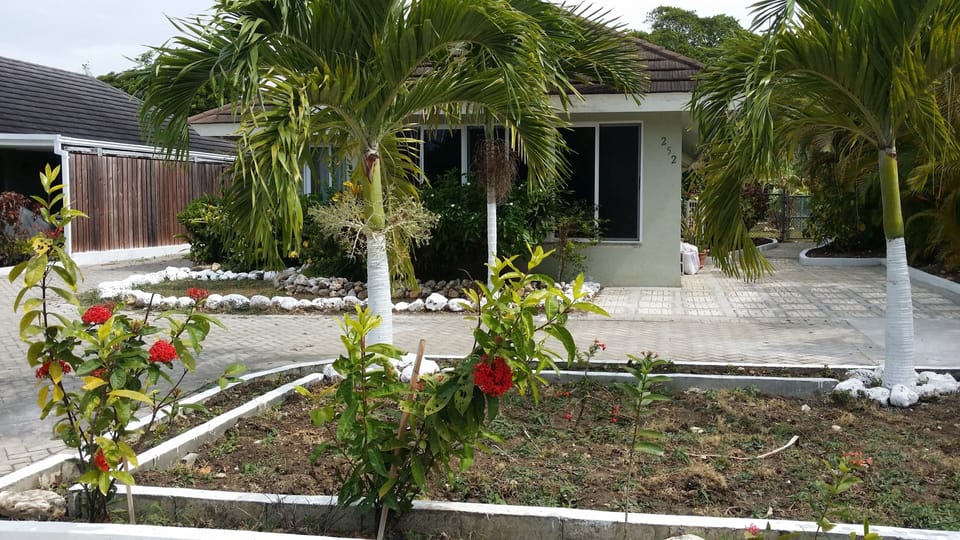 The Palms 