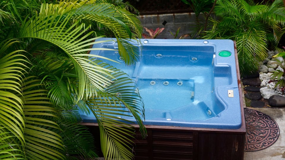 Jacuzzi surrounded by beautiful orchids, palms and ti plants
