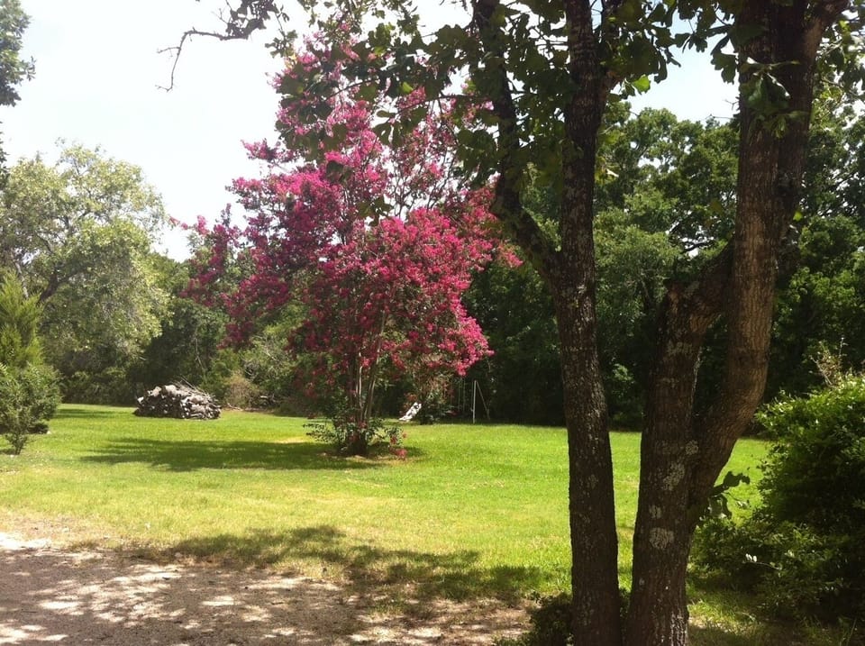 View of large private rear yard