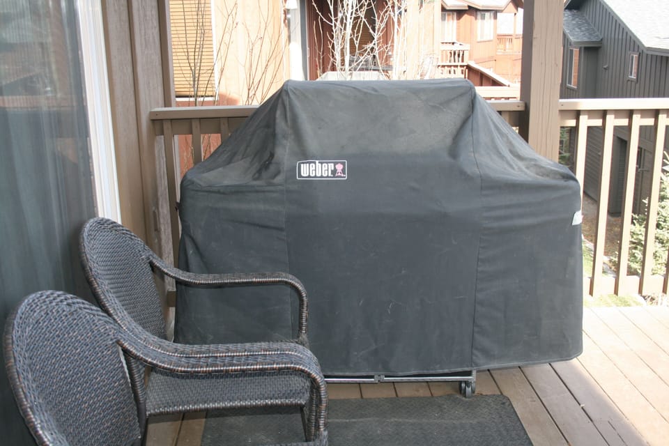 Weber BBQ