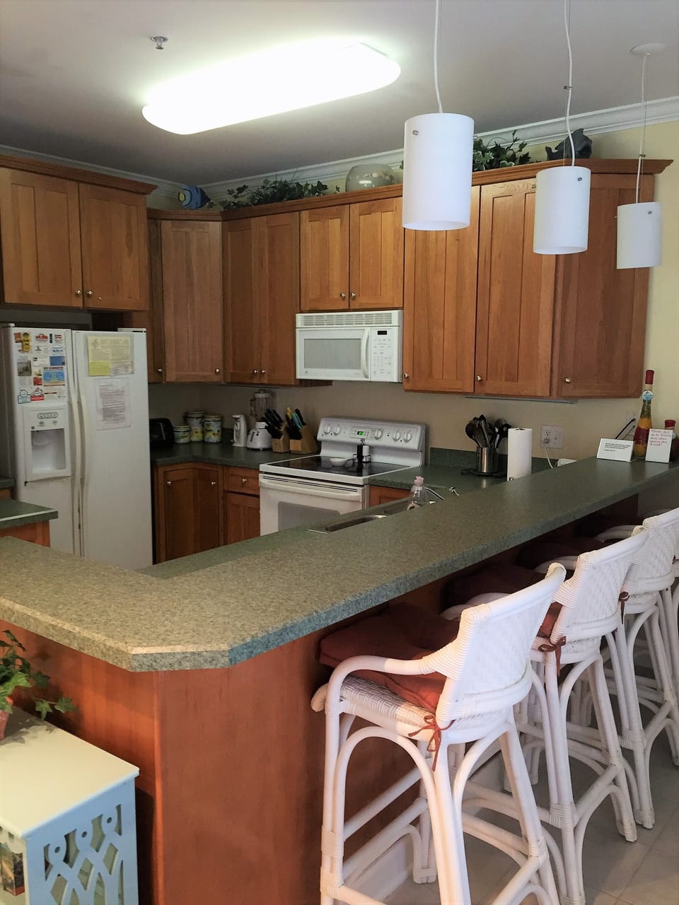 kitchen fully stocked & seating for 4 at bar, 6 at dining table and extra table