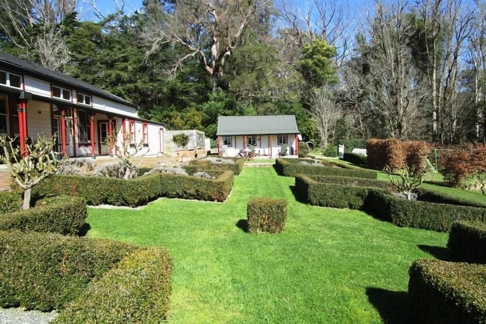 In the garden