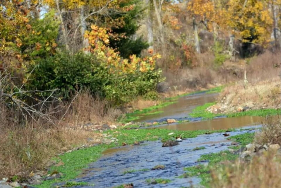 Beautiful clear water of Kates Creek.