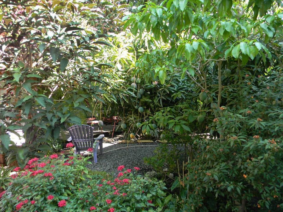 Garden and deck
