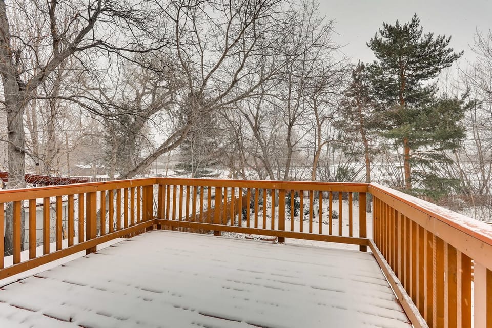 A snowy view of the park from the office deck.